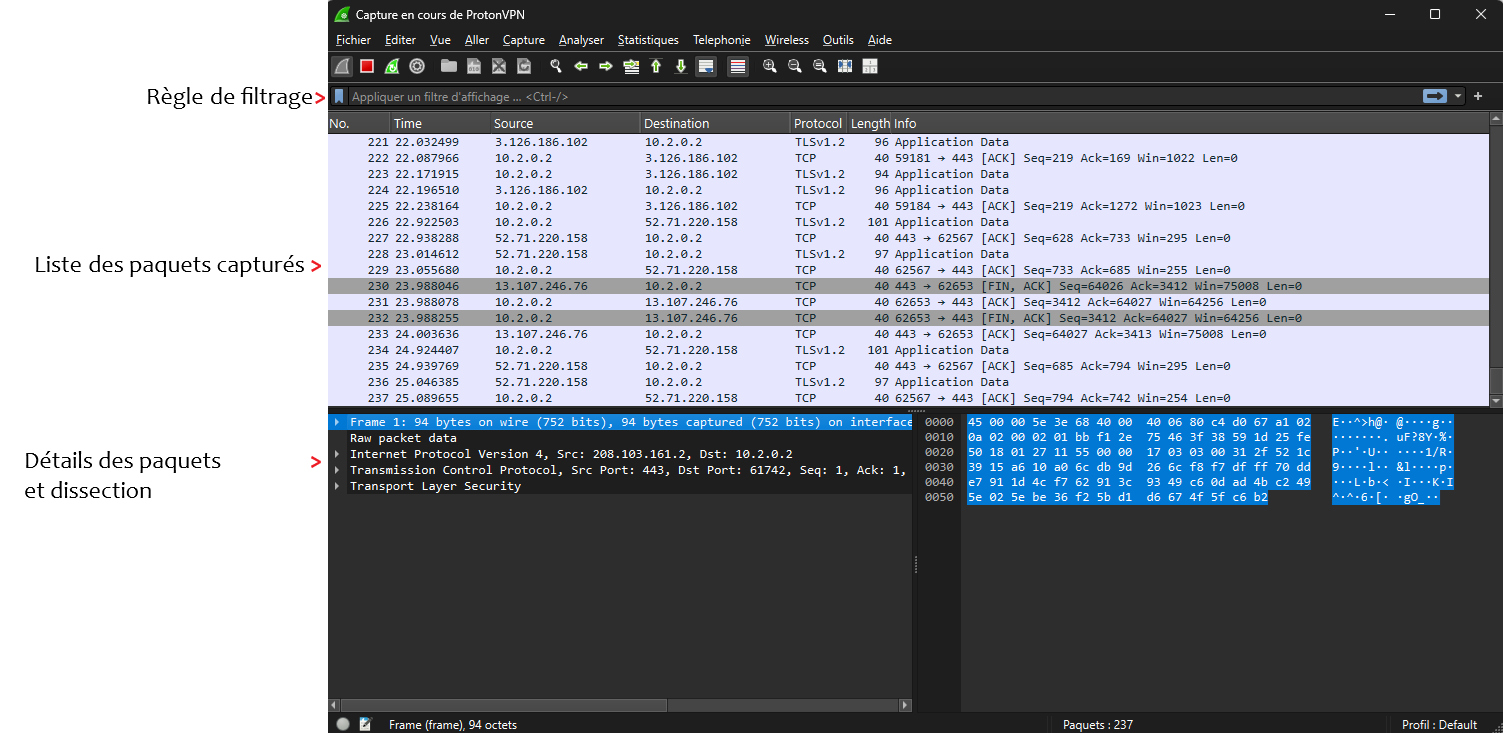 Interface Wireshark
